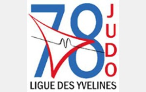 BENJAMINS - 1er Tour secteur (qualification championnat des Yvelines)
