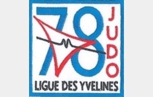 MINIMES MASC - Championnat des Yvelines