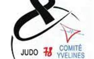 MINIMES - Championnat 78 par équipe