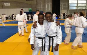 COUPE CEINTURES DE COULEURS n1