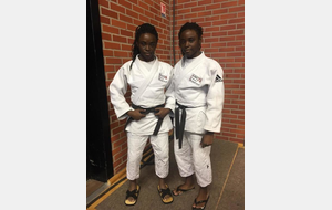 CEINTURES DE COULEUR (Orange a Bleue) / (Marron)