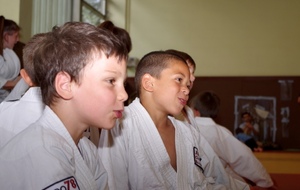 Stage Judo-Multisport