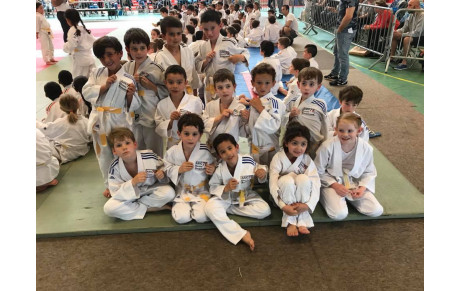 Bienvenue au Judo Chesnay Rocquencourt